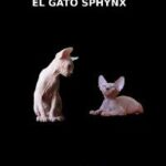 Libro raza gato sphynx