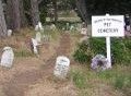 Cementerio de animales y mascotas, un pequeño lugar para recordar