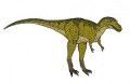 albertosaurus