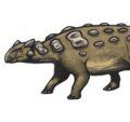 ankylosaurus