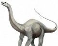 apatosaurus