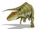 carcharodontosaurus