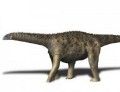 saltasaurus