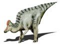 corythosaurus