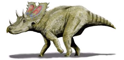 Agujaceratops, dinosaurios con cuerno