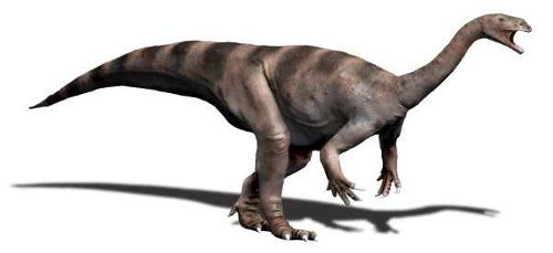 Plateosaurus