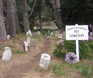 Cementerio de animales y mascotas