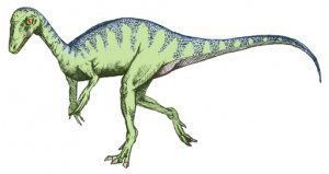 Eoraptor