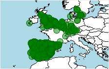 habitat distribucion geográfica de Epidalea calamita, sapo corredor