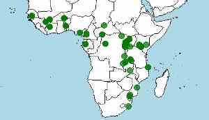 habitat y distribucion del hipopótamo, Hippopotamus amphibius