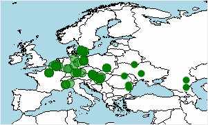 Habitat distribución pelobates fuscus, sapo de espuelas pardo