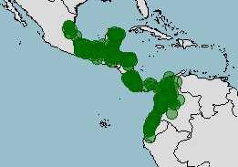 Hábitat y distribución de Bothrops asper