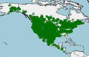 hábitat y distribución de Canis latrans, coyote