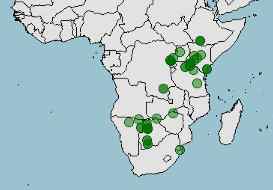 Hábitat y distribucion de Lycaon pictus, perro salvaje africano