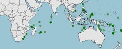 habitat-distribucion-nemateleotris-magnifica