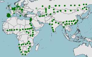 Hábitat y distribución de la cigueña negra, Ciconia nigra