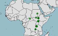 Hábitat, distribución del picozapato, Balaeniceps rex