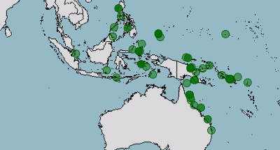 habitat-distribucion-damisela-blanca-negra-dascyllus-melanurus