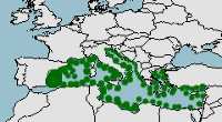 hábitat, conservación, distribución de mobula mobular.