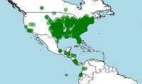 Distribución de Chelydra serpentina, tortuga mordedora, tortuga lagarto