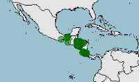 Distribución de Rhinoclemmys pulcherrima, tortuga dragón