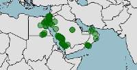 Distribución de agama sinaita. Pseudotrapelus sinaitus