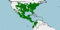 Distribución de la falsa coral, lampropeltis triangulum