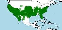 Distribución de la serpiente rey, Lampropeltis getula