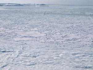 Antartida y el Tratado Antártico