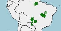 Distribución guacamayo azul o jacinto, anodorhynchus hyacinthinus