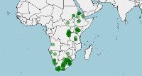 Distribución y conservación de Columba guinea