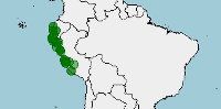 Distribución, conservación, Columbina cruziana