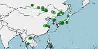 Distribución, conservación de Coturnix japonica (codorniz japonesa)