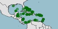 Distribución y conservación de Gramma loreto