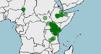 Distribución, conservación de estornino soberbio, Lamprotornis superbus