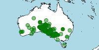 Distribución de Neophema splendida, periquito espléndio