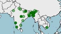 Distribución, conservación de Sturnia malabarica