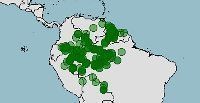 Distribución del pez hacha, carnegiella-strigata