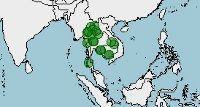 Distribución de Gyrinocheilus aymonieri, pez ventosa