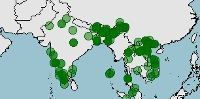 Distribución de Pycnonotus jocosus, bulbo orfeo o músico