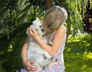 Relación entre niños y los animales