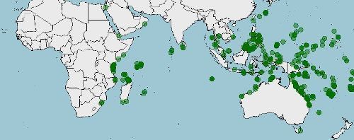 Distribución de Cypraea tigris