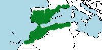 Distribución de la culebra bastarda, Malpolon monspessulanus