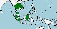 Distribución de Rasbora borapetensis