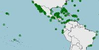 Distribución de Albula vulpes, macabijo