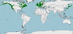 Distribución del pez espino, Gasterosteus aculeatus