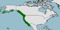 Distribución de Hydrolagus colliei