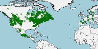 Distribución de Salvelinus fontinalis, Trucha de arroyo