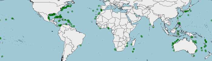 Distribución de Aldrovandia affinis