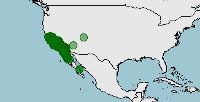 Distribución de Anniella pulchra, lagarto sin patas de california